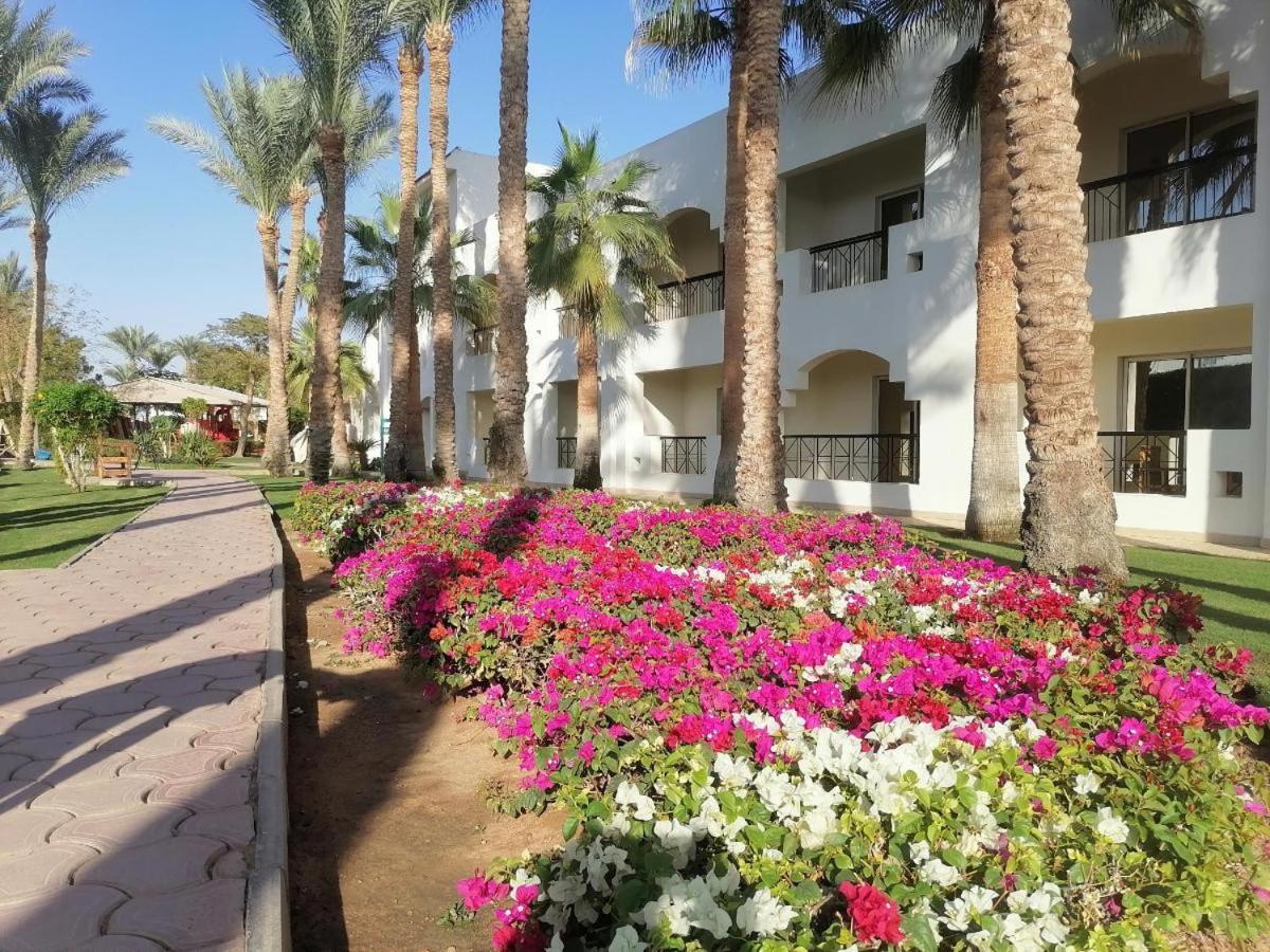 Xperience St. George Sharm El Sheikh Hotel Bagian luar foto